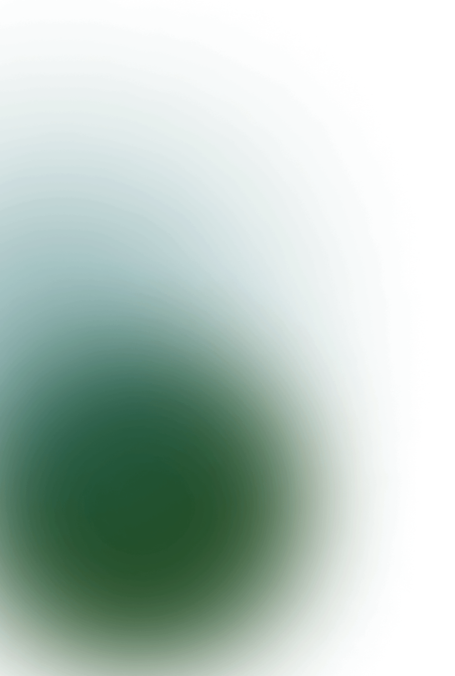 Fondo